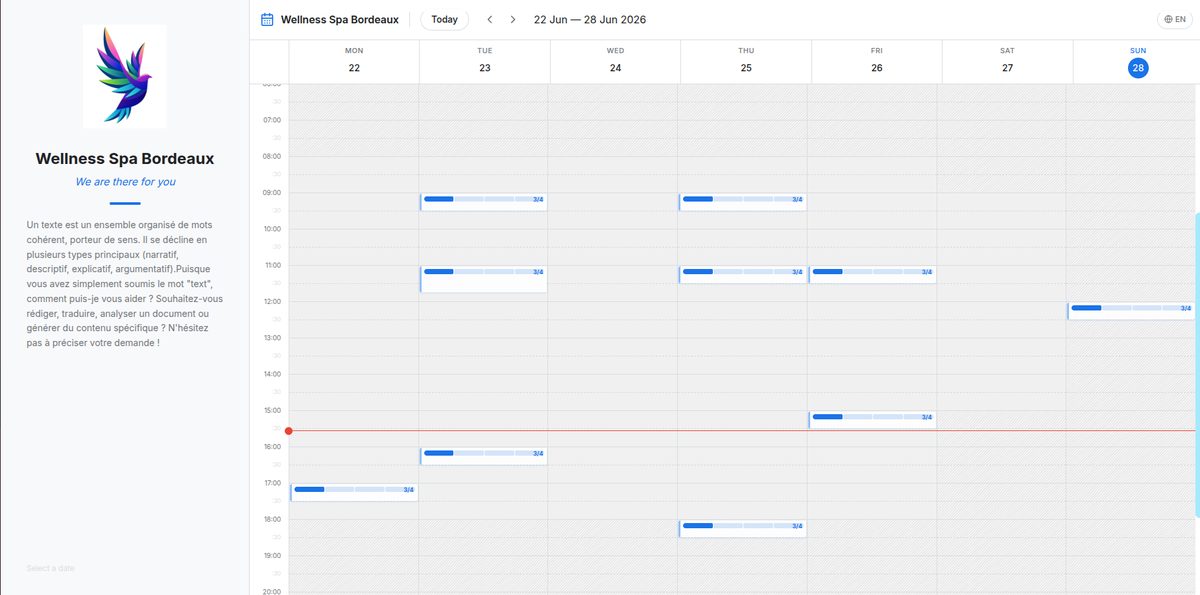 Appointment Assistant — org calendar